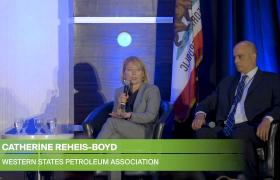 VX2018: What's the Optimal Energy Mix