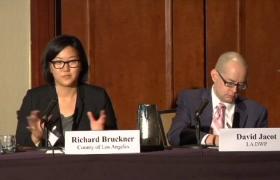 City Policy: Advancing Green Building through Codes, Mandates, Incentives